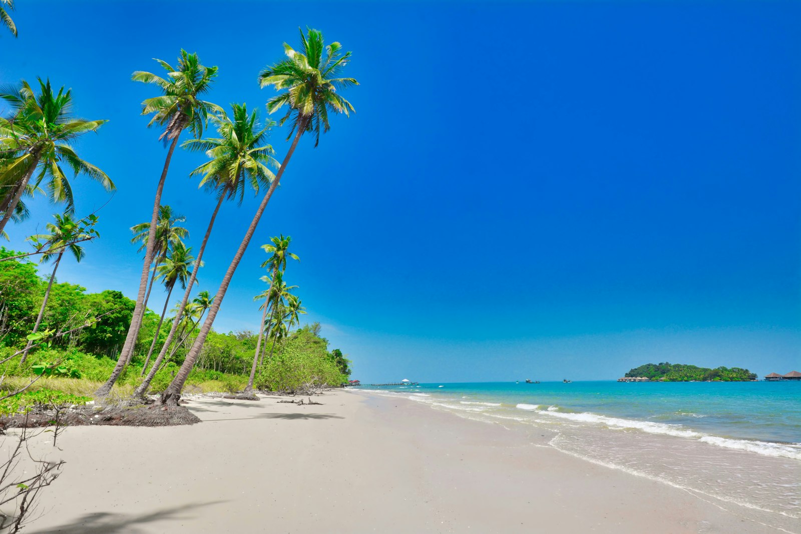 White-sand beach with palms at Koh Rong