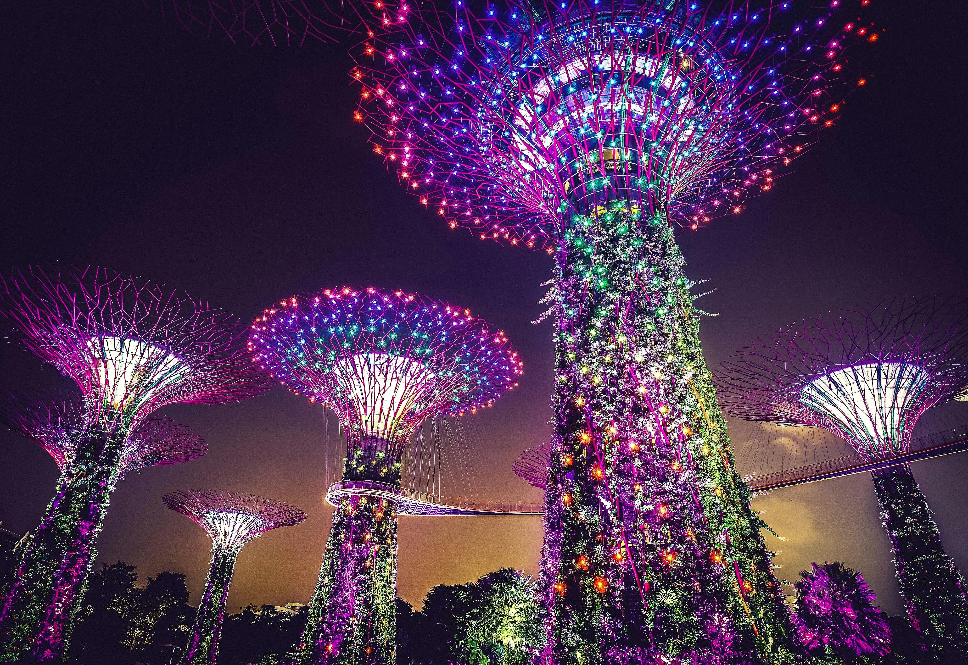Supertree Grove lit at night, Gardens by the Bay