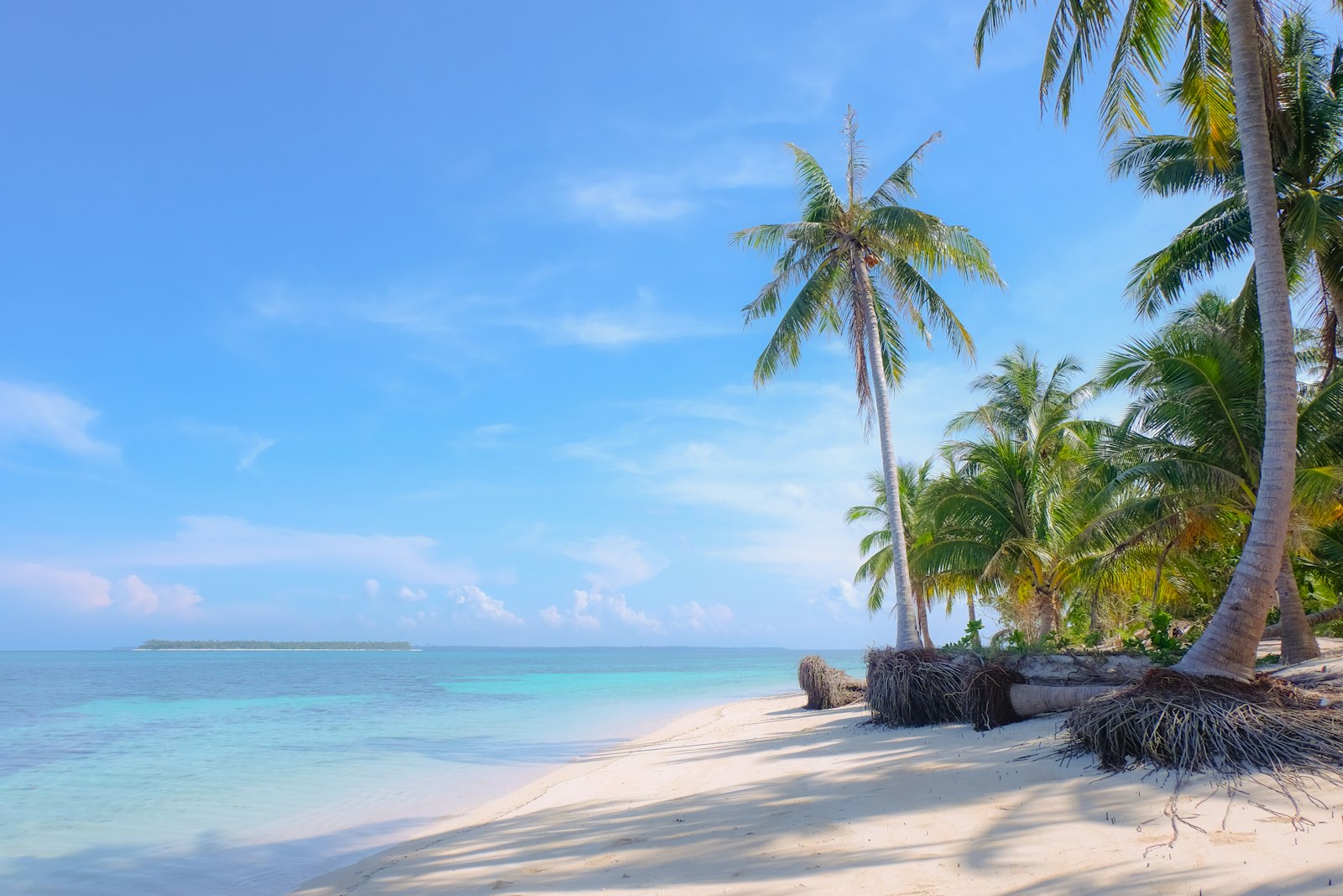 Tropical beach with palms in Balabac Palawan