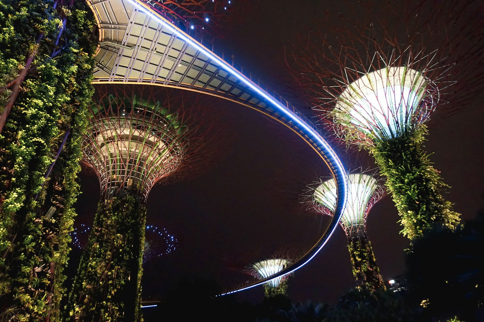 Gardens by the Bay Supertree Grove in Singapore, an iconic family-friendly attraction