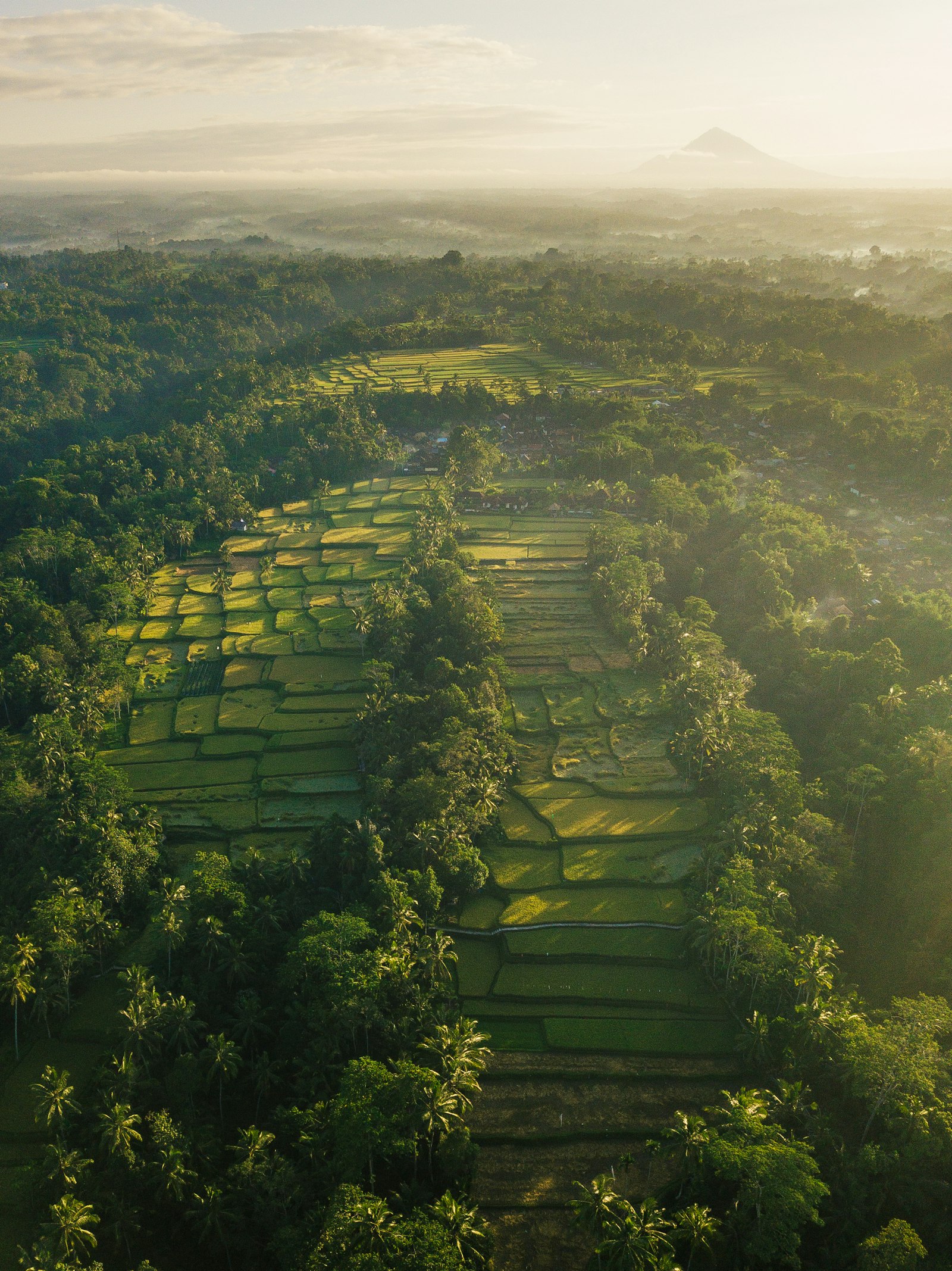 Bali rice terraces at sunrise with distant volcano