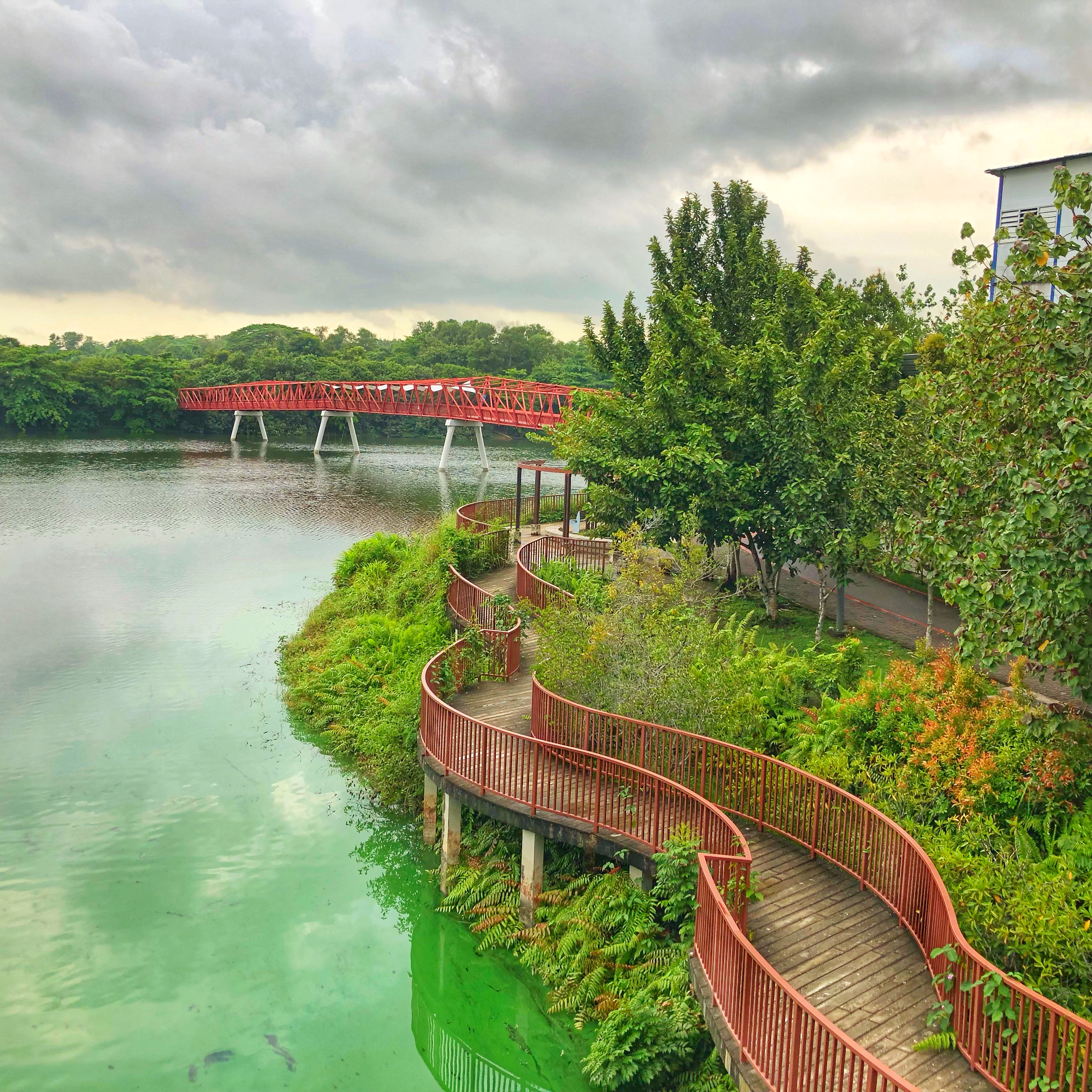 Punggol Waterway Park in Singapore — waterfront walkway and greenery