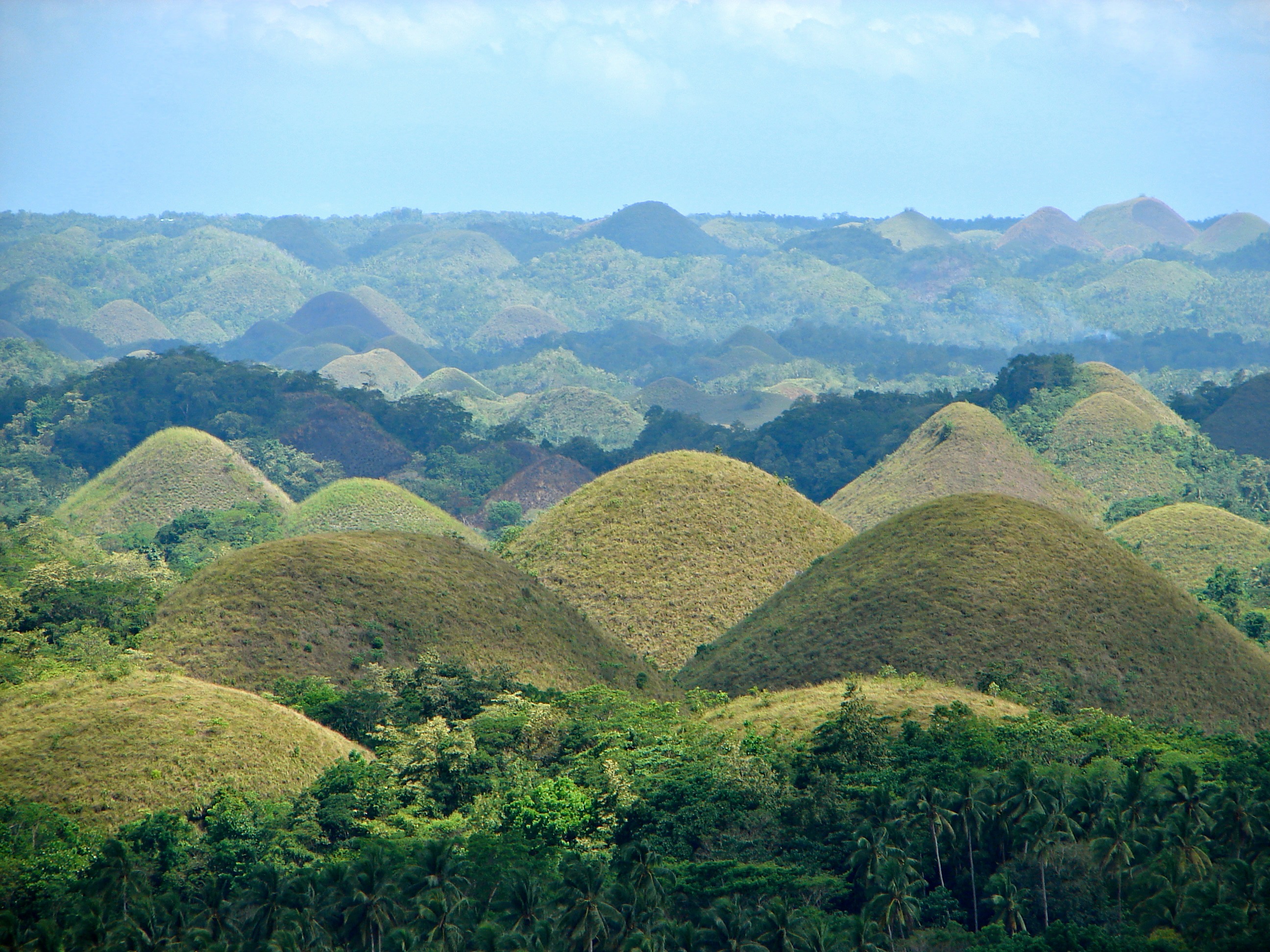 Overview of the Chocolate Hills in Bohol — dome-shaped limestone mounds that draw every day-tour itinerary on the island