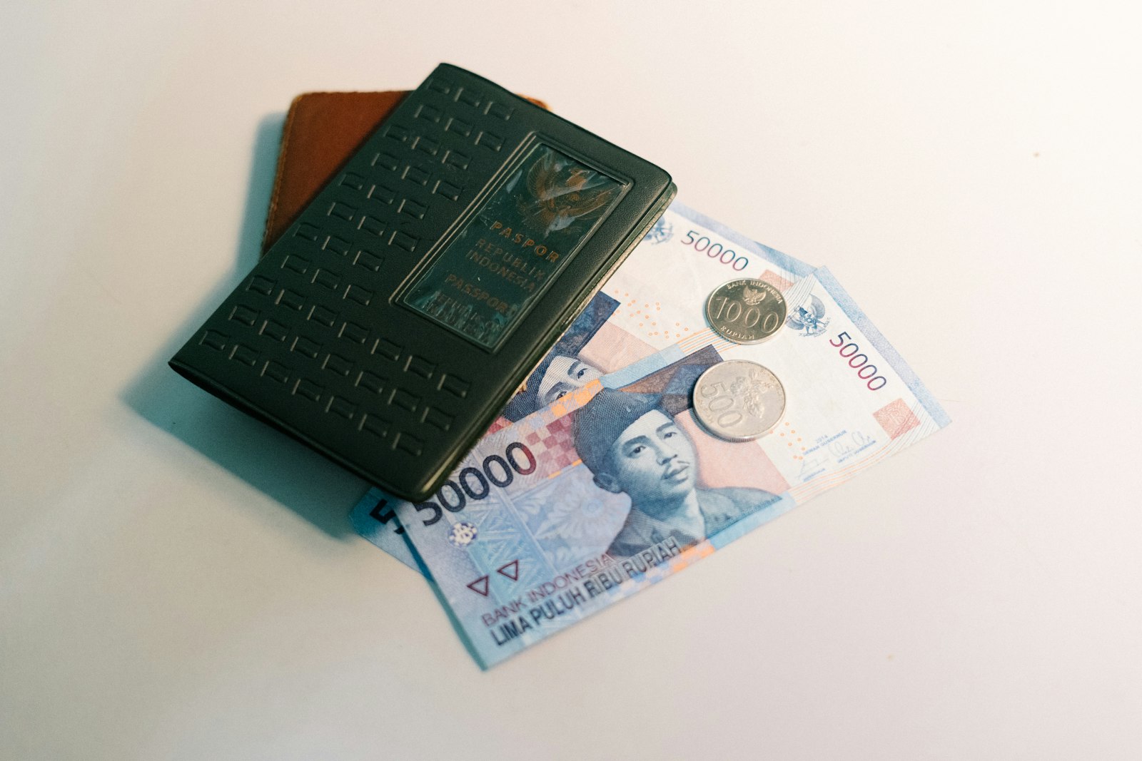 Passport with banknotes