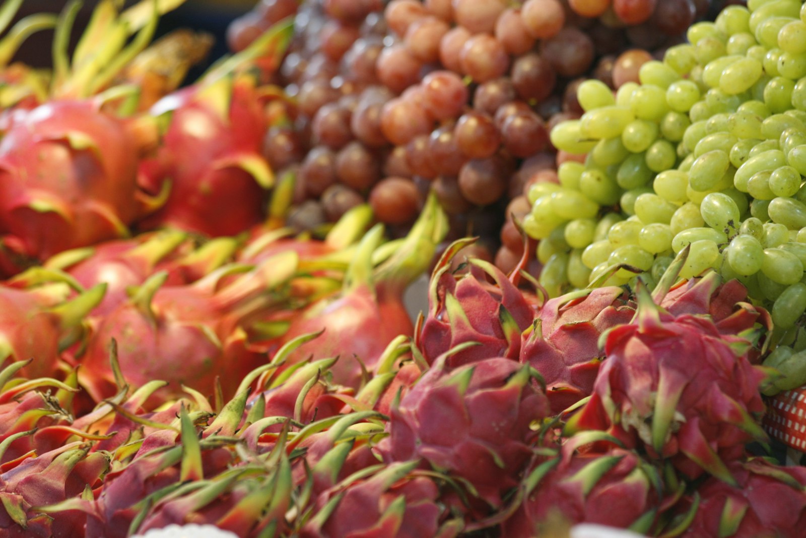 Dragon fruit display at a tropical market